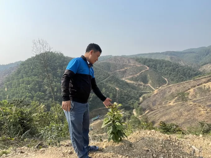 Đồi thảo dược của nhà khoa học Bá Thị Châm